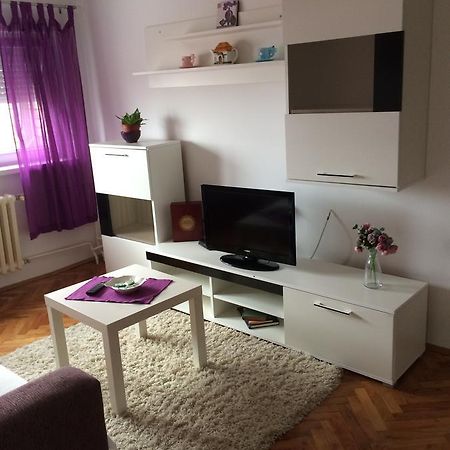 Tami Apartment Novi Sad Eksteriør billede