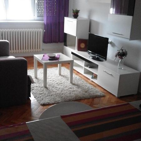 Tami Apartment Novi Sad Eksteriør billede