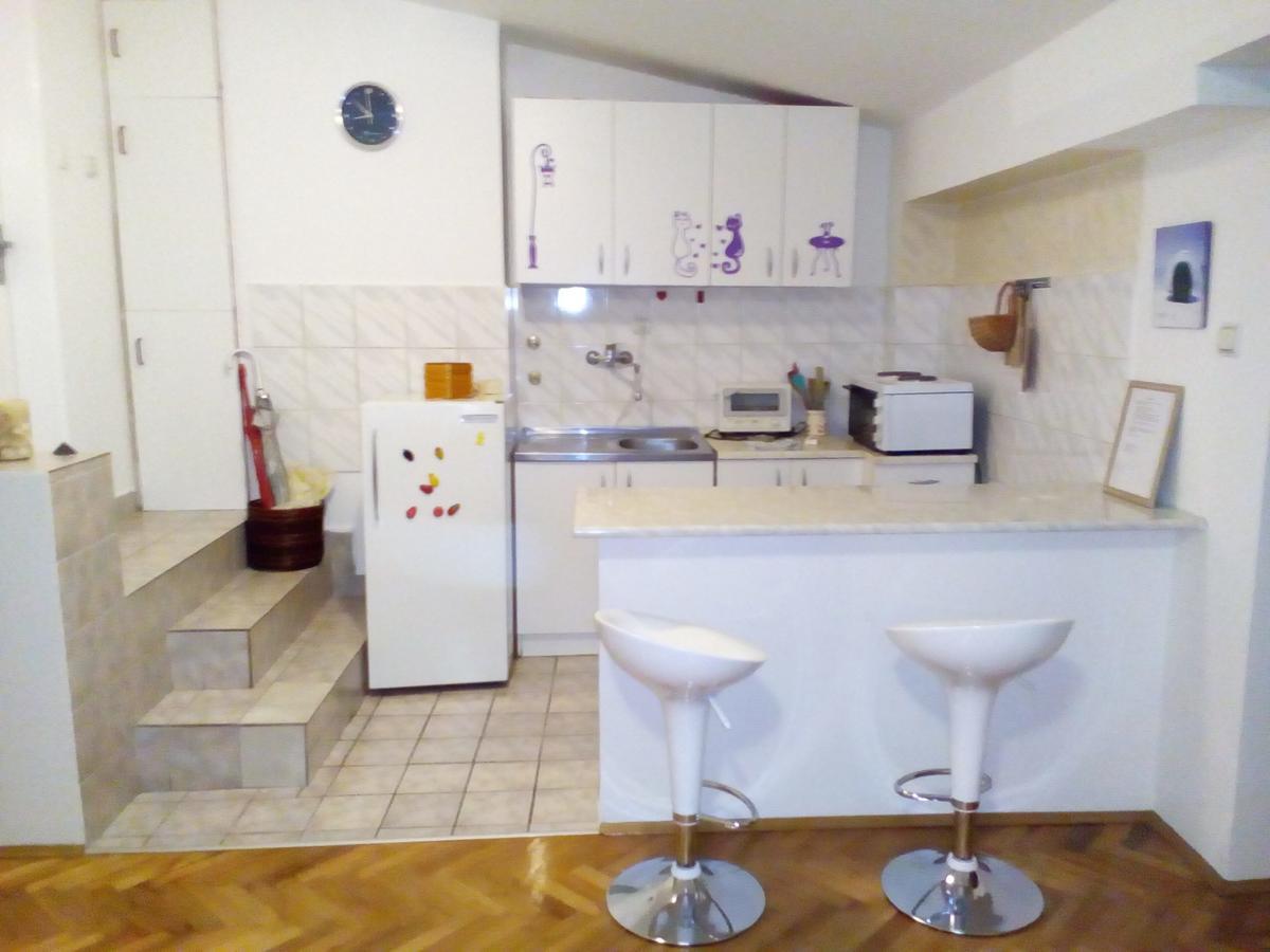 Tami Apartment Novi Sad Eksteriør billede