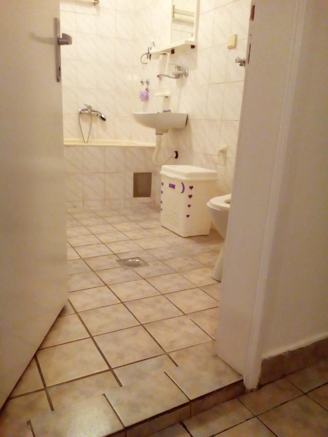 Tami Apartment Novi Sad Eksteriør billede